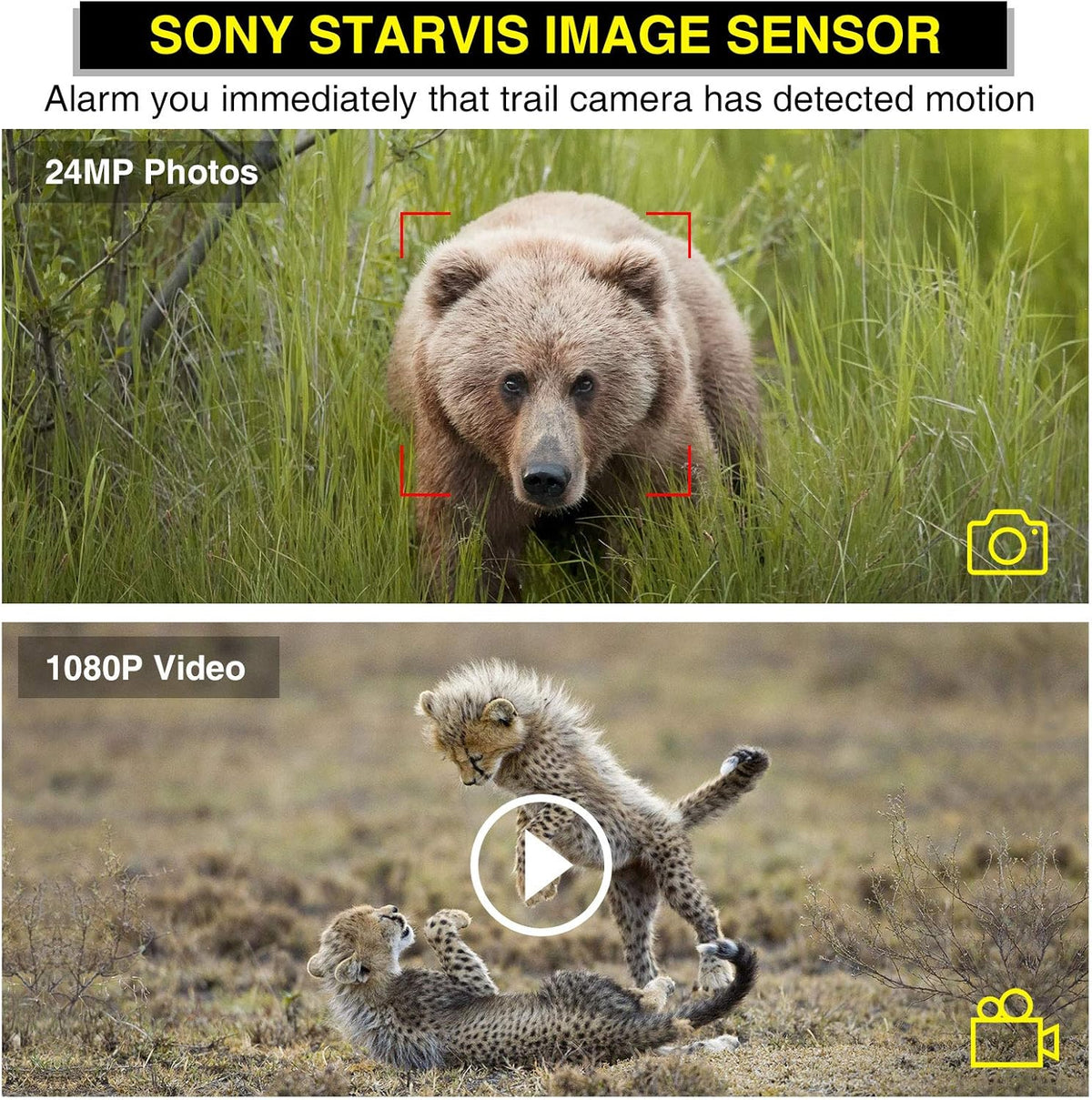 Trail Camera with Night Vision Motion Activated Waterproof Wildlife Camera Pack of 2 E930954