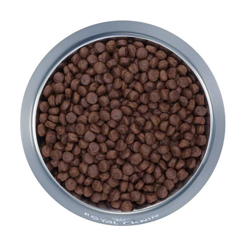 Selected Protein Adult Dry Dog Food V871125