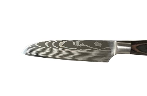 Set of 5 Damascus Steel Chef Knife B282656