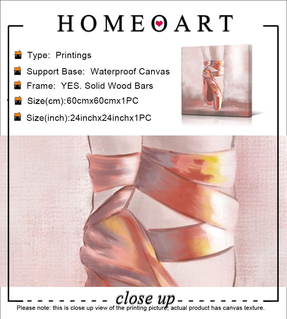 Pink Ballet Shoes Canvas Framed Artwork 24x24 M2249
