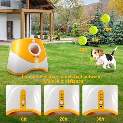 Green Blue Automatic Ball Launcher K698