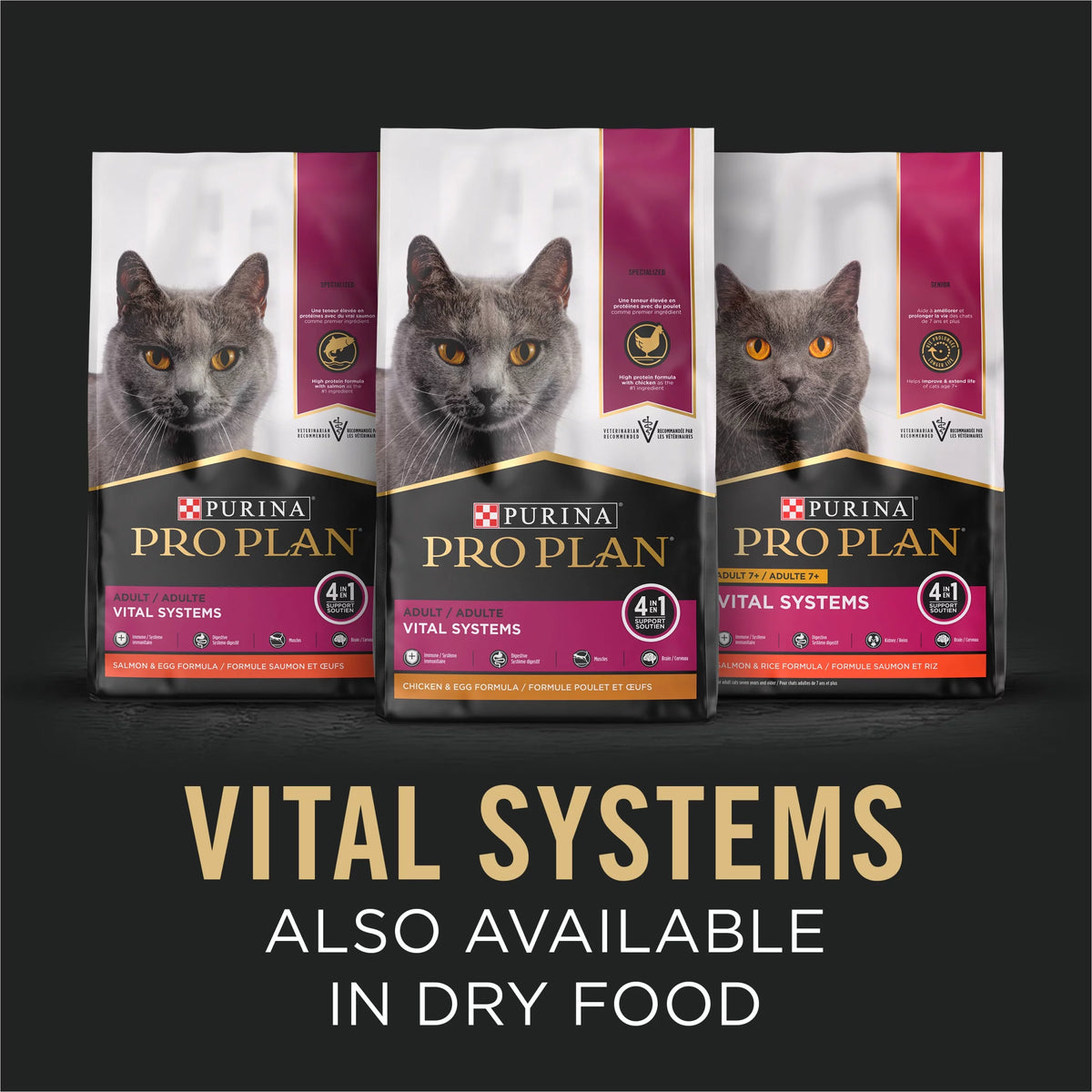 Wet Cat Food Sole Entree in Gravy 3 oz. Can H60762