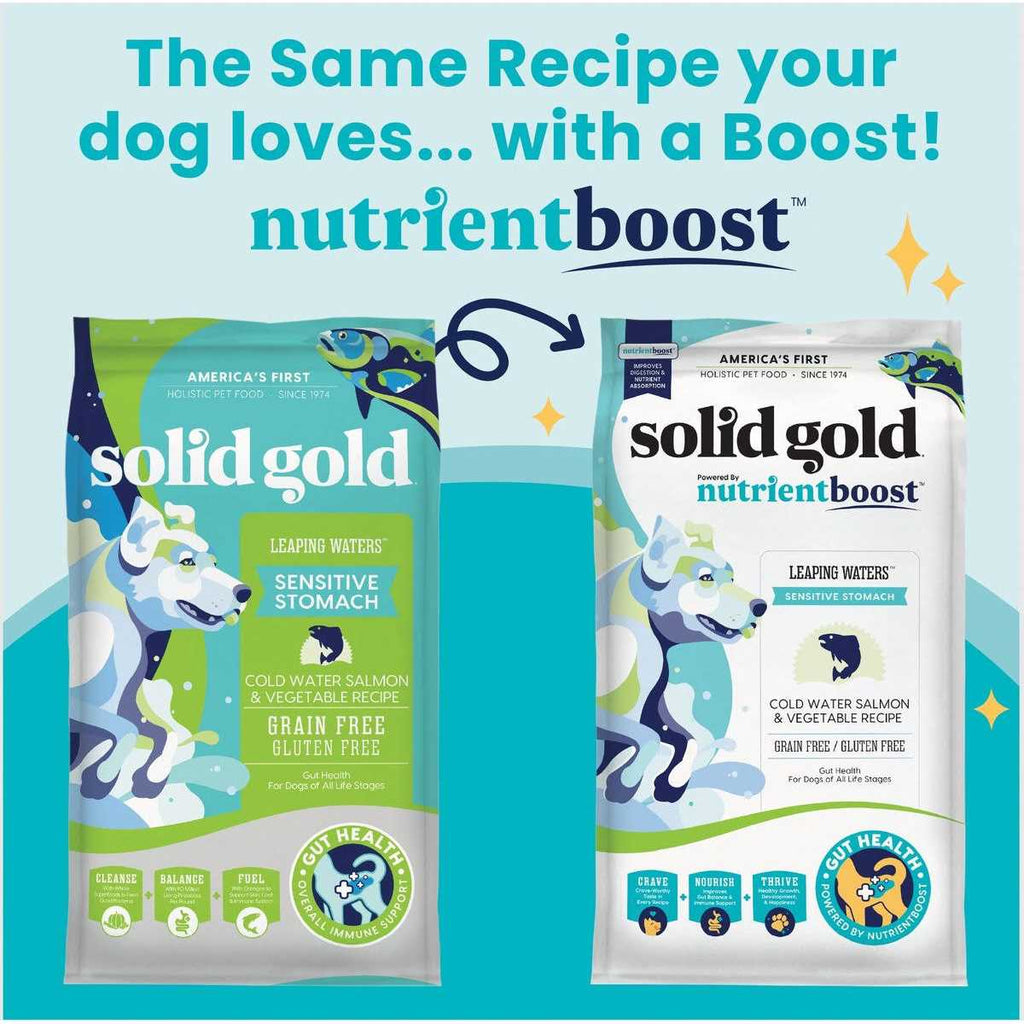 Dry Dog Food D5612
