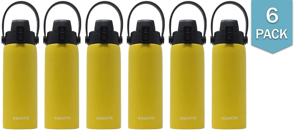 6-Pack Lemon Yellow 21 Ounce Stainless Steel Double Wall Insulated Sports Water Bottle M49109