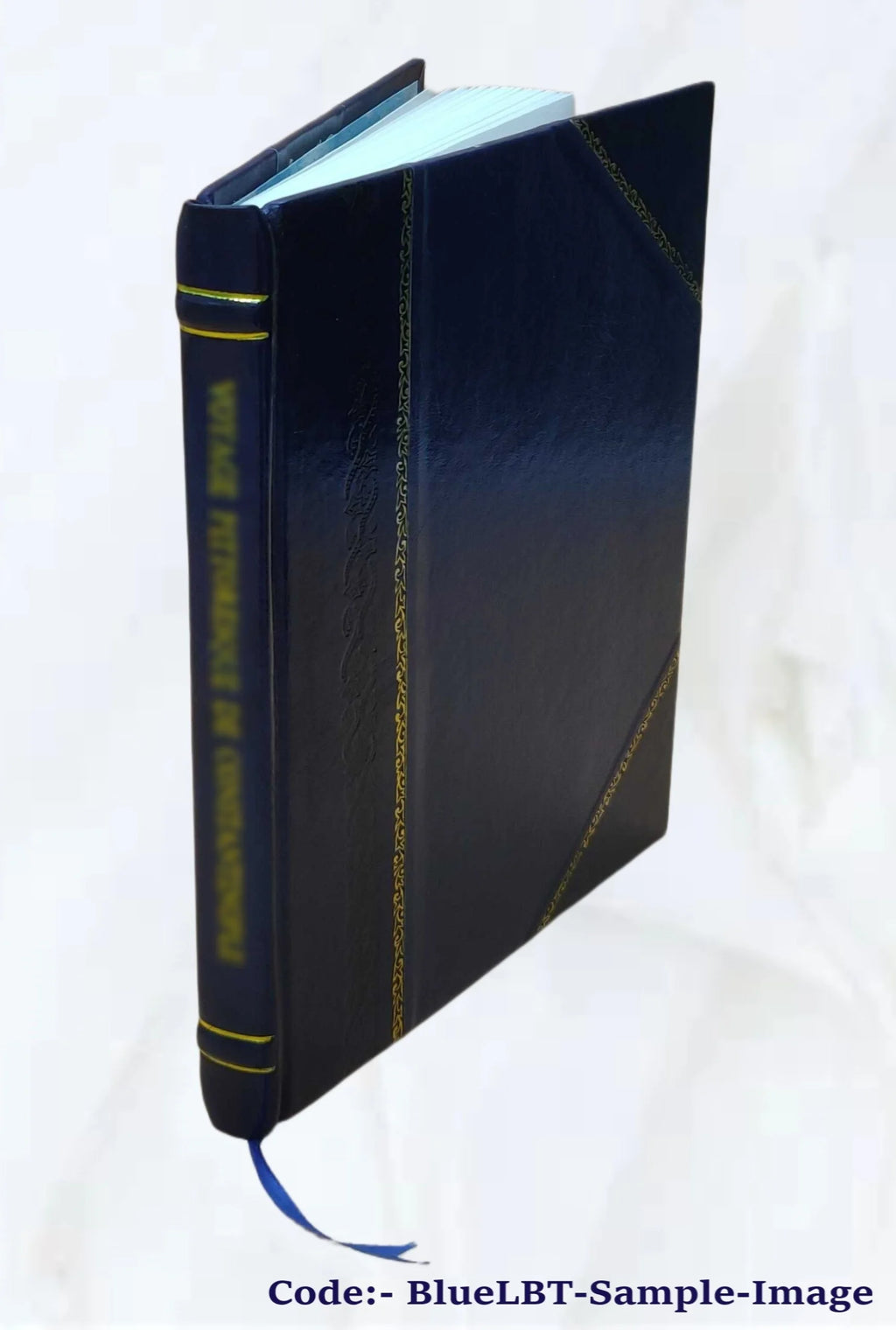 Christianity and Muhammadanism: Four Lectures P730905