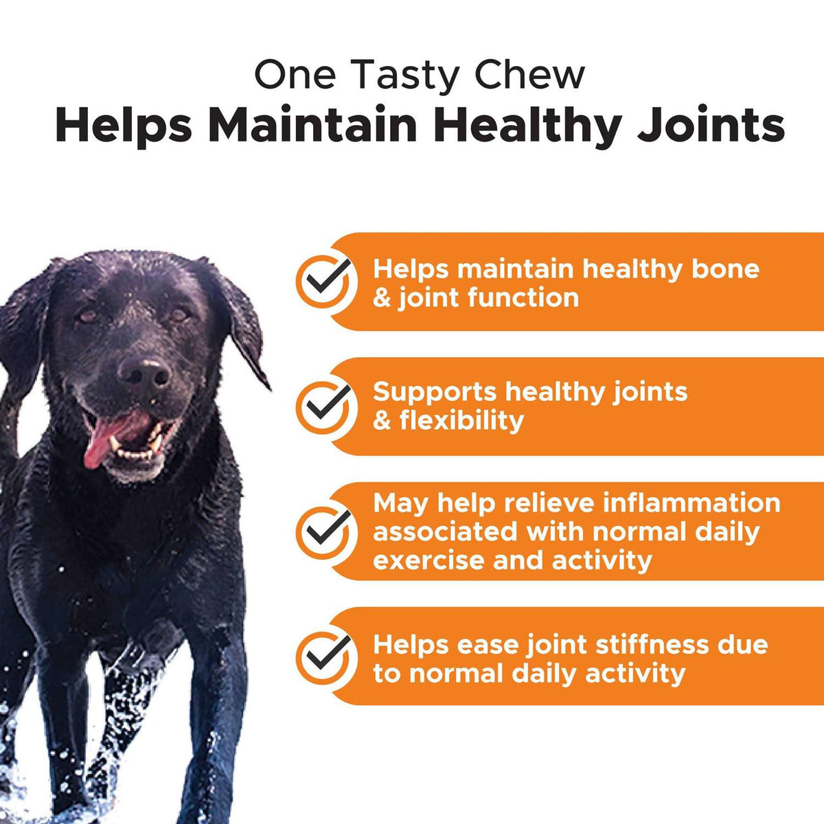 Chicken Hip + Joint Health Soft Chews for Dogs R213636