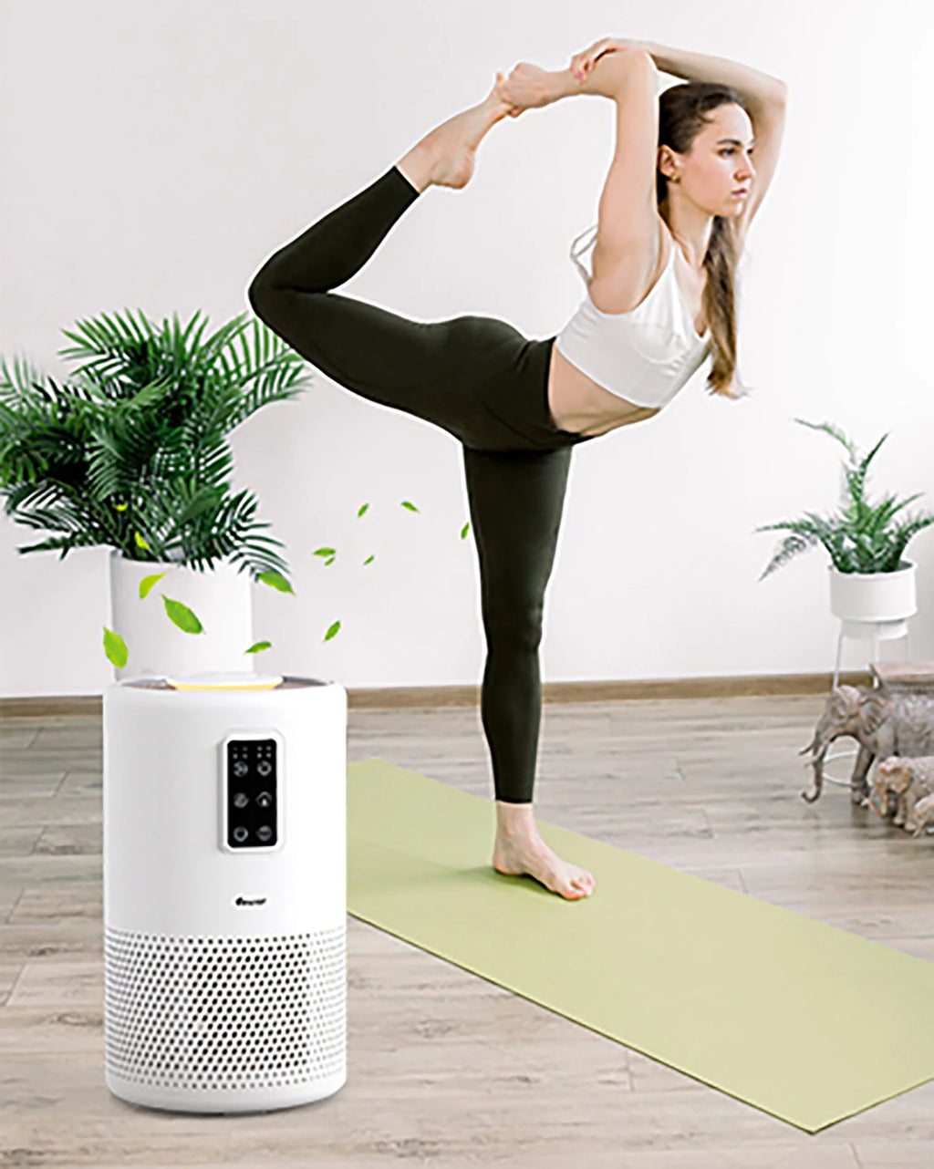 HEPA Air Purifiers J1624