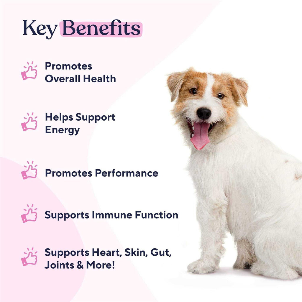 Multivitamin Chews A241