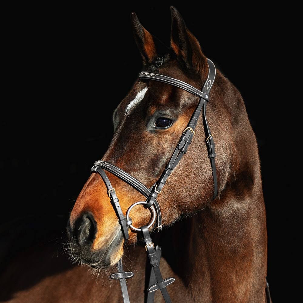 Padded Flash Bridle X70314