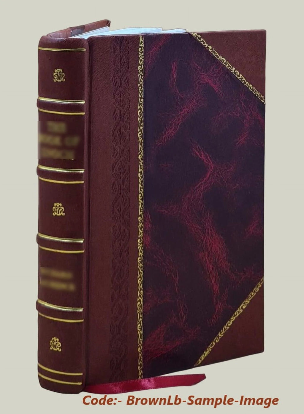 Leather Bound Romanzo B233