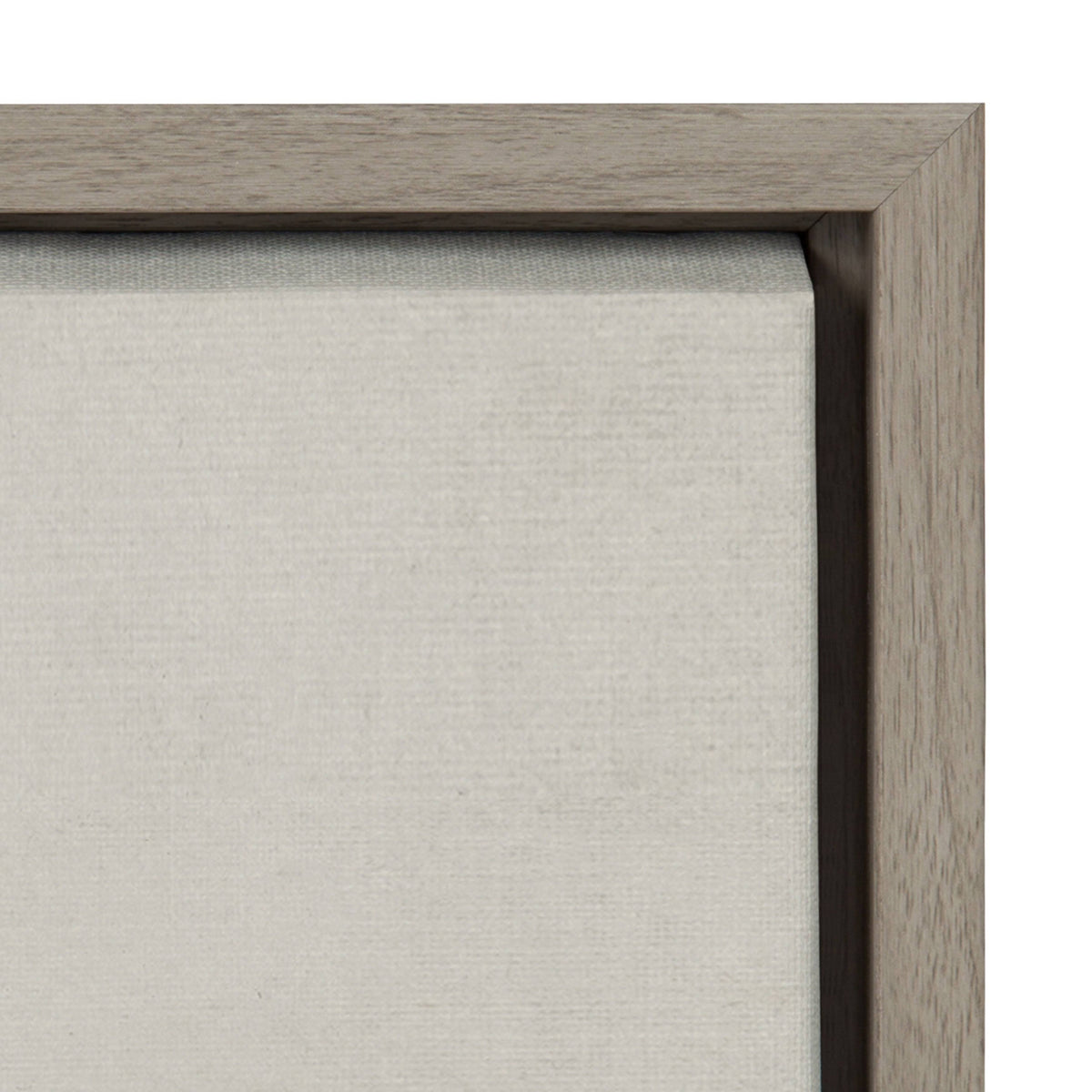 Framed Canvas E756168