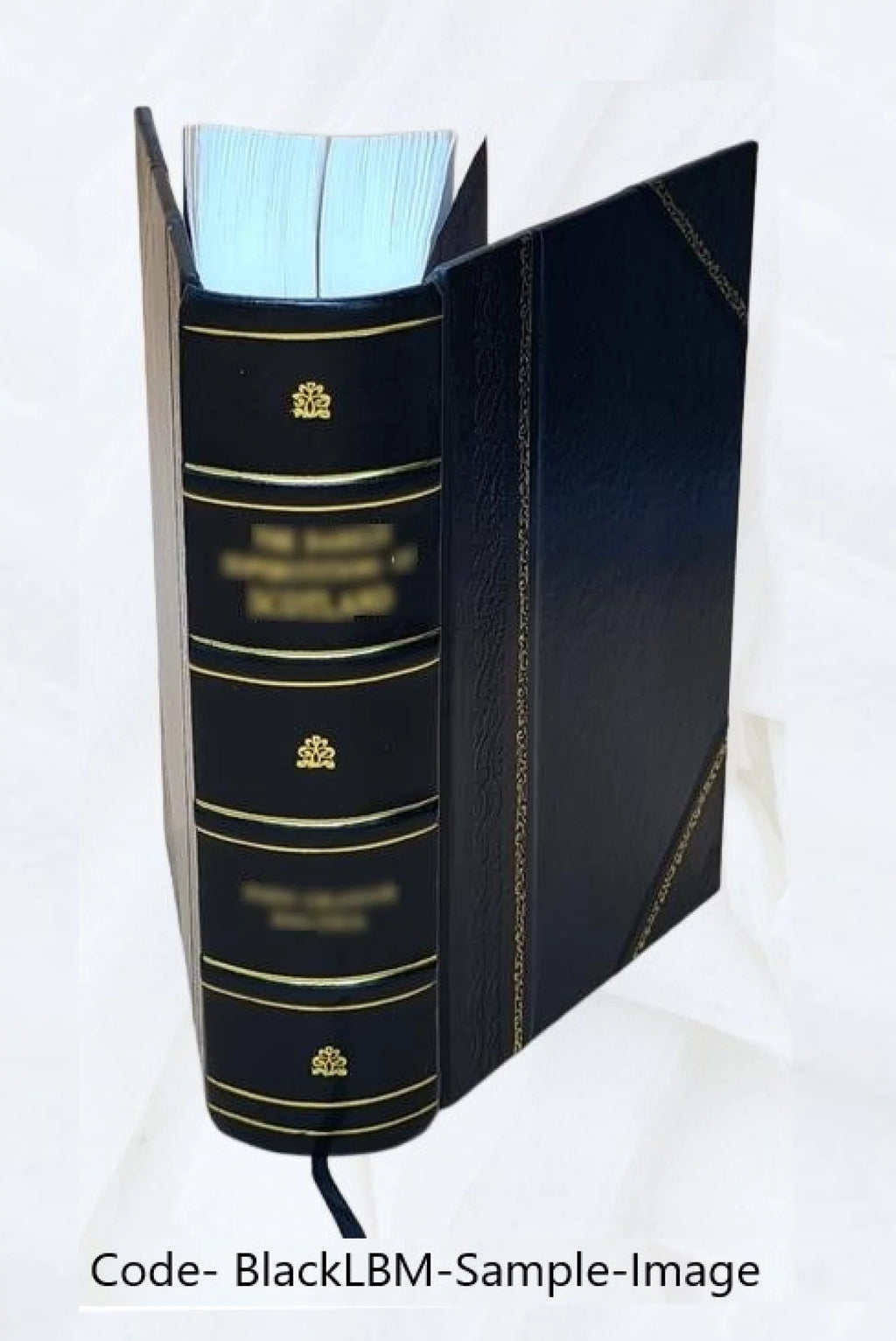 Letters and papers of the reign of Henry VIII Volume 15 B9414