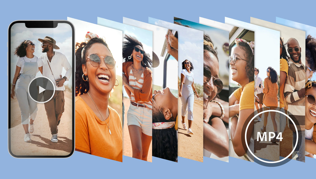 Photoshop Elements 2024 & Premiere Elements 2024 - Windows Q75633