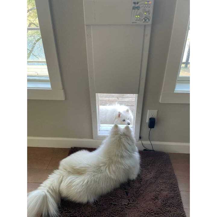 Electronic Pet Door E315