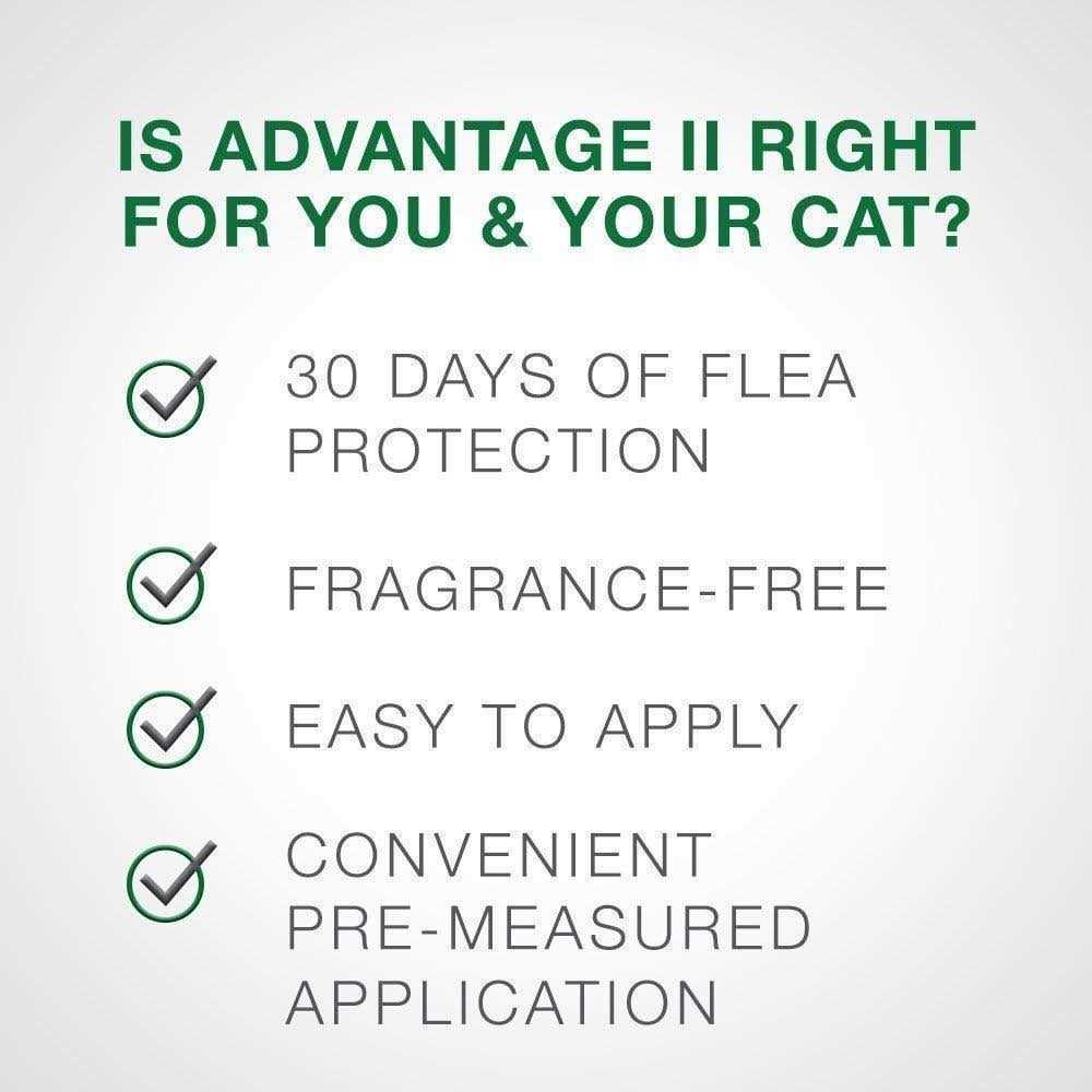Flea Treatment Cats V307868