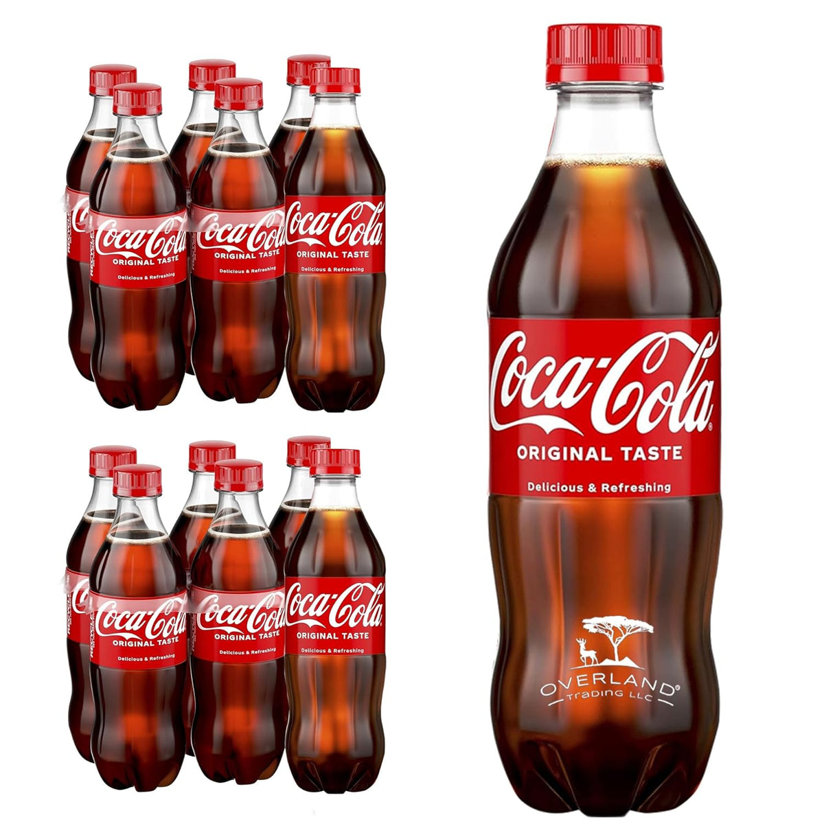 16.9 fl oz 12 Pack Soda Soft Drink E5883