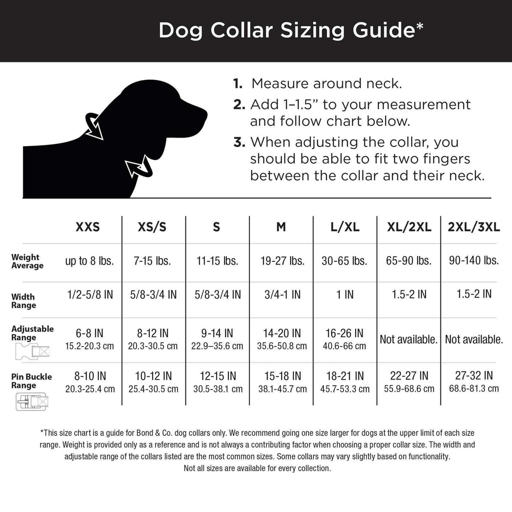 Bling Dog Collar N2185