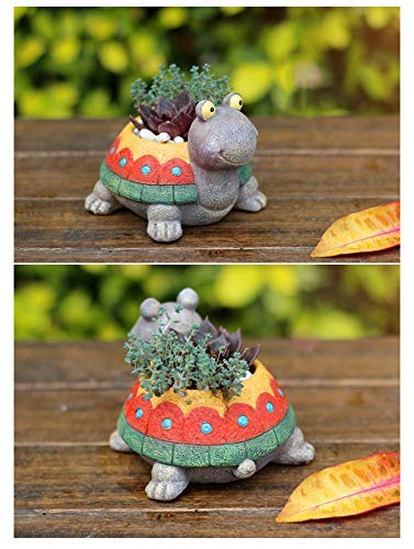 Turtle Resin Succulent Planter V8466