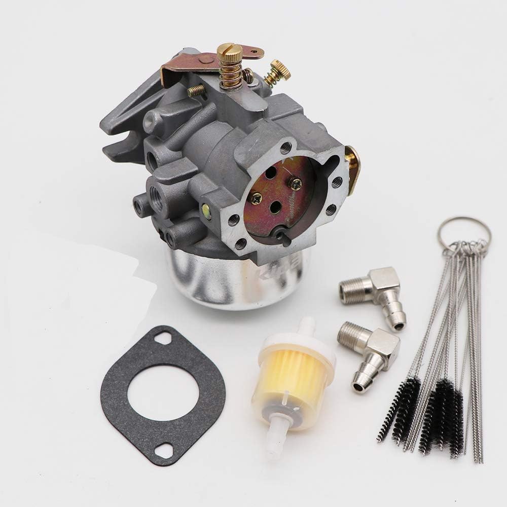 Carburetor with Gaskets & Carbon Dirt Jet Cleaner Tool Kit Pack of 2 T68479