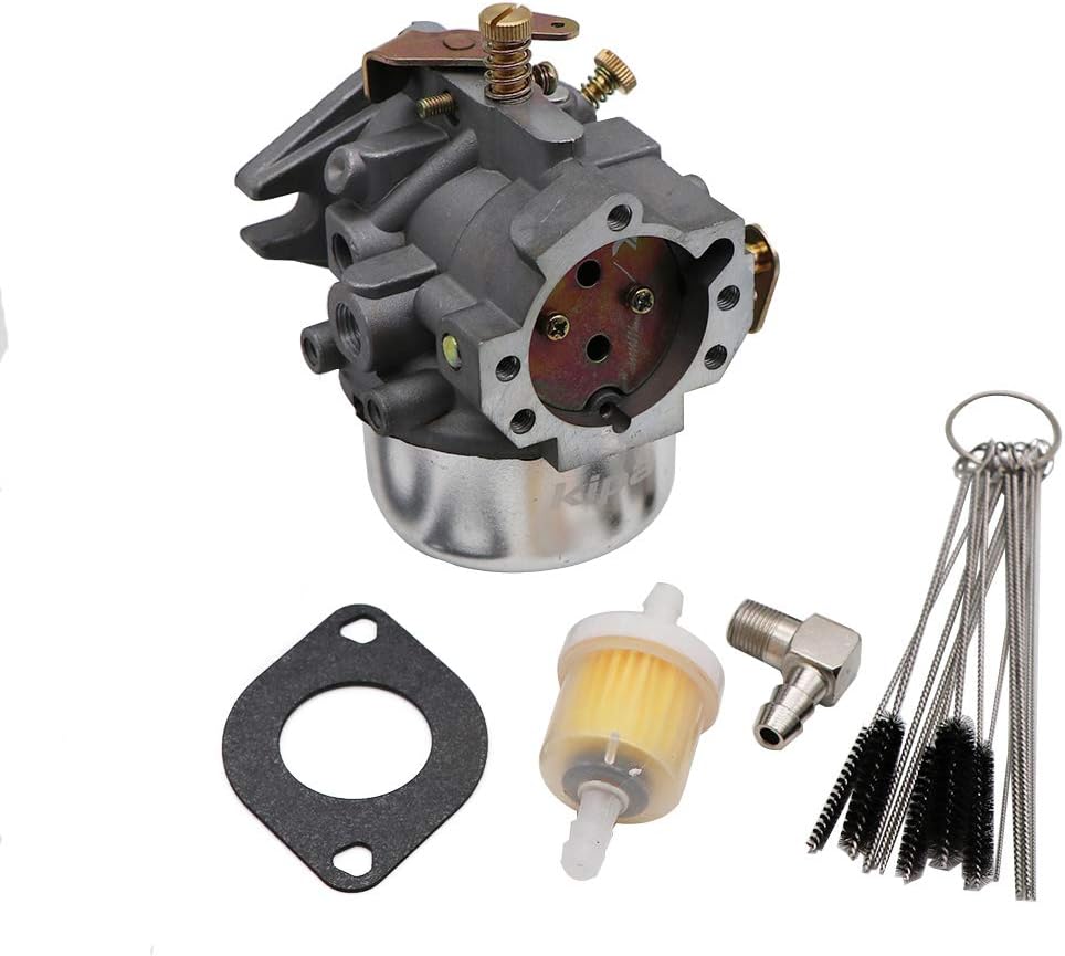 Carburetor with Gaskets & Carbon Dirt Jet Cleaner Tool Kit Pack of 2 T68479