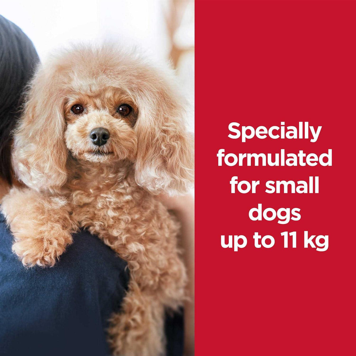 Dry Dog Food P4219