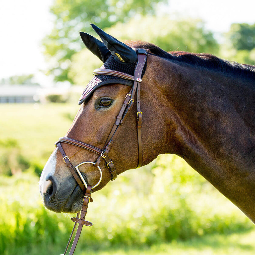 Padded Flash Bridle X70314