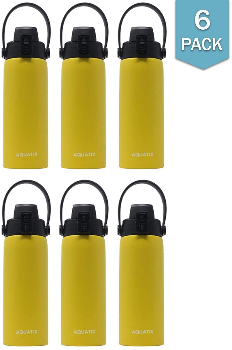 6-Pack Lemon Yellow 21 Ounce Stainless Steel Double Wall Insulated Sports Water Bottle M49109