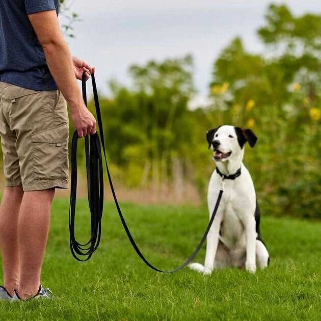 Training Leash E2261