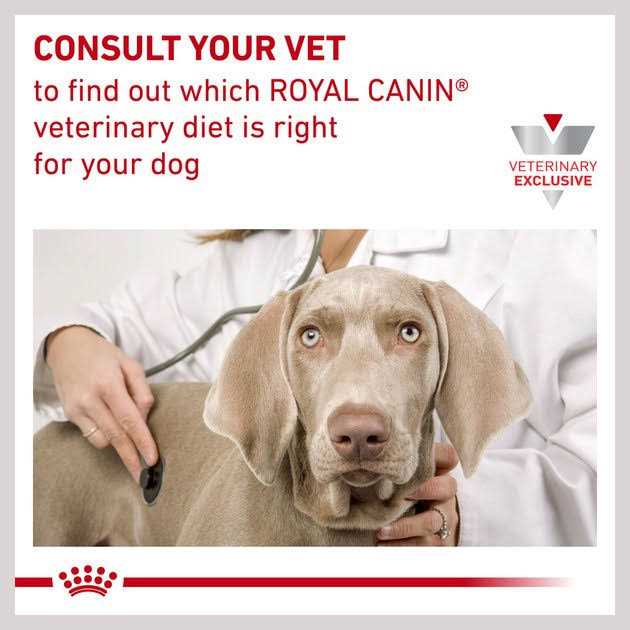 Selected Protein Adult Dry Dog Food Q3772
