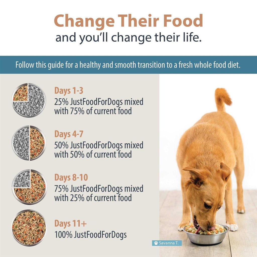 Frozen Dog Food T416020