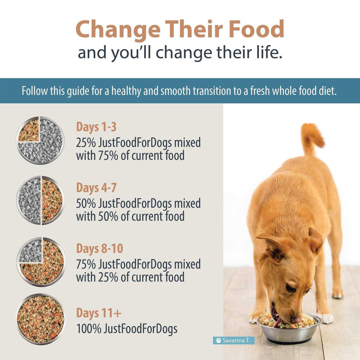 Frozen Dog Food T416020