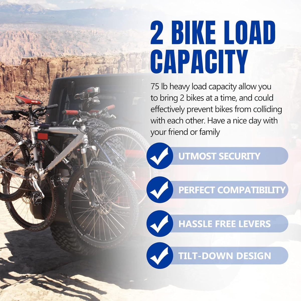 2-Bike Hitch Mount Carrier Rack F2254