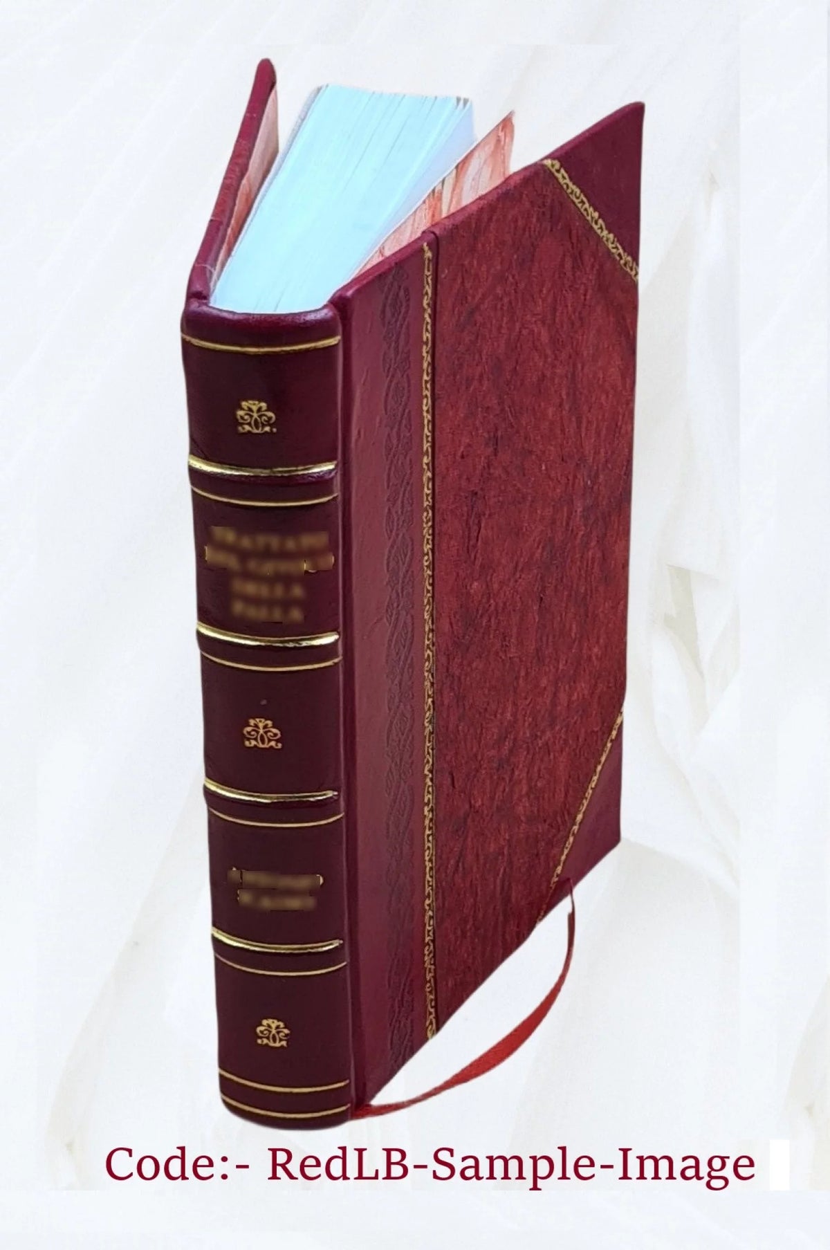 Central Asia Explorations Leather Bound X351