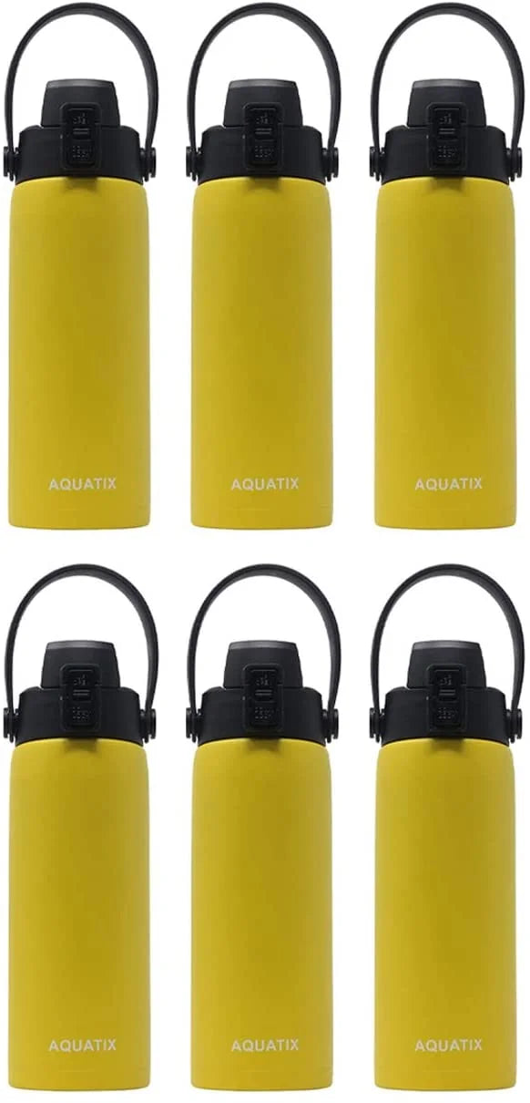 6-Pack Lemon Yellow 21 Ounce Stainless Steel Double Wall Insulated Sports Water Bottle M49109