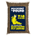 Dried Black Soldier Fly Larva (11 lbs) F577031
