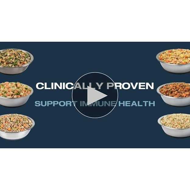 Frozen Dog Food T416020