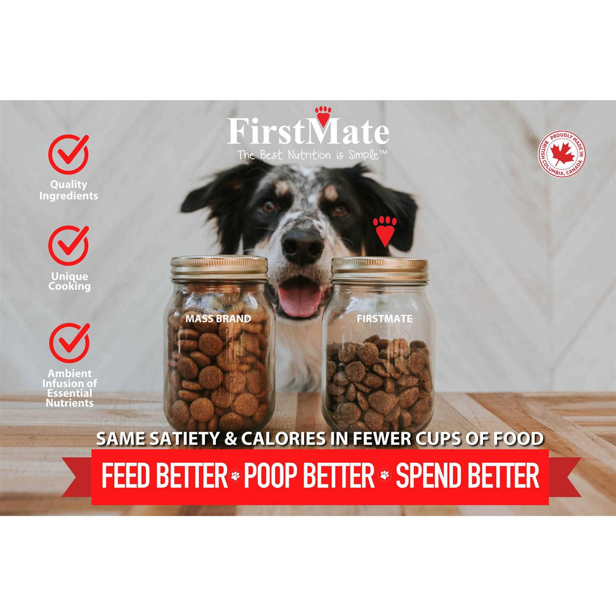 Cage Free Duck & Oats Dry Dog Food Z349990