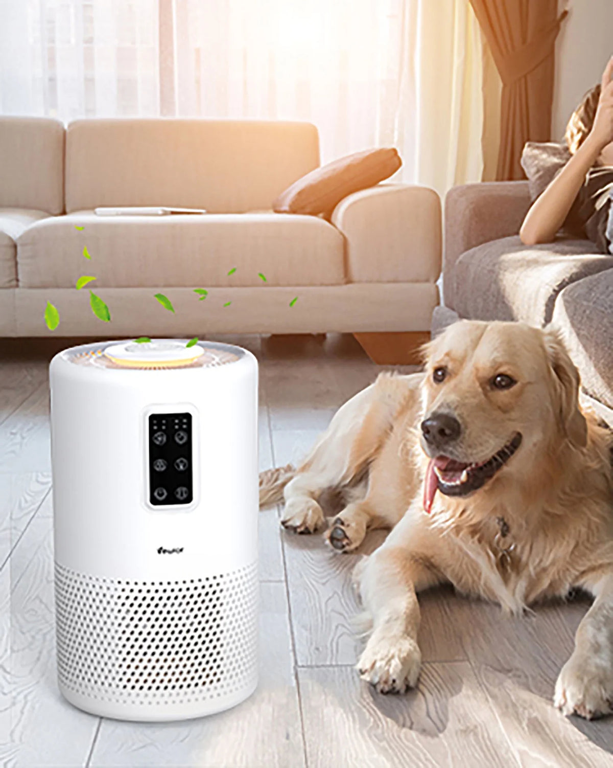 HEPA Air Purifiers J1624