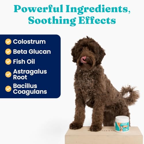 Salmon Oil Dog Allergy Chews 120ct W40974