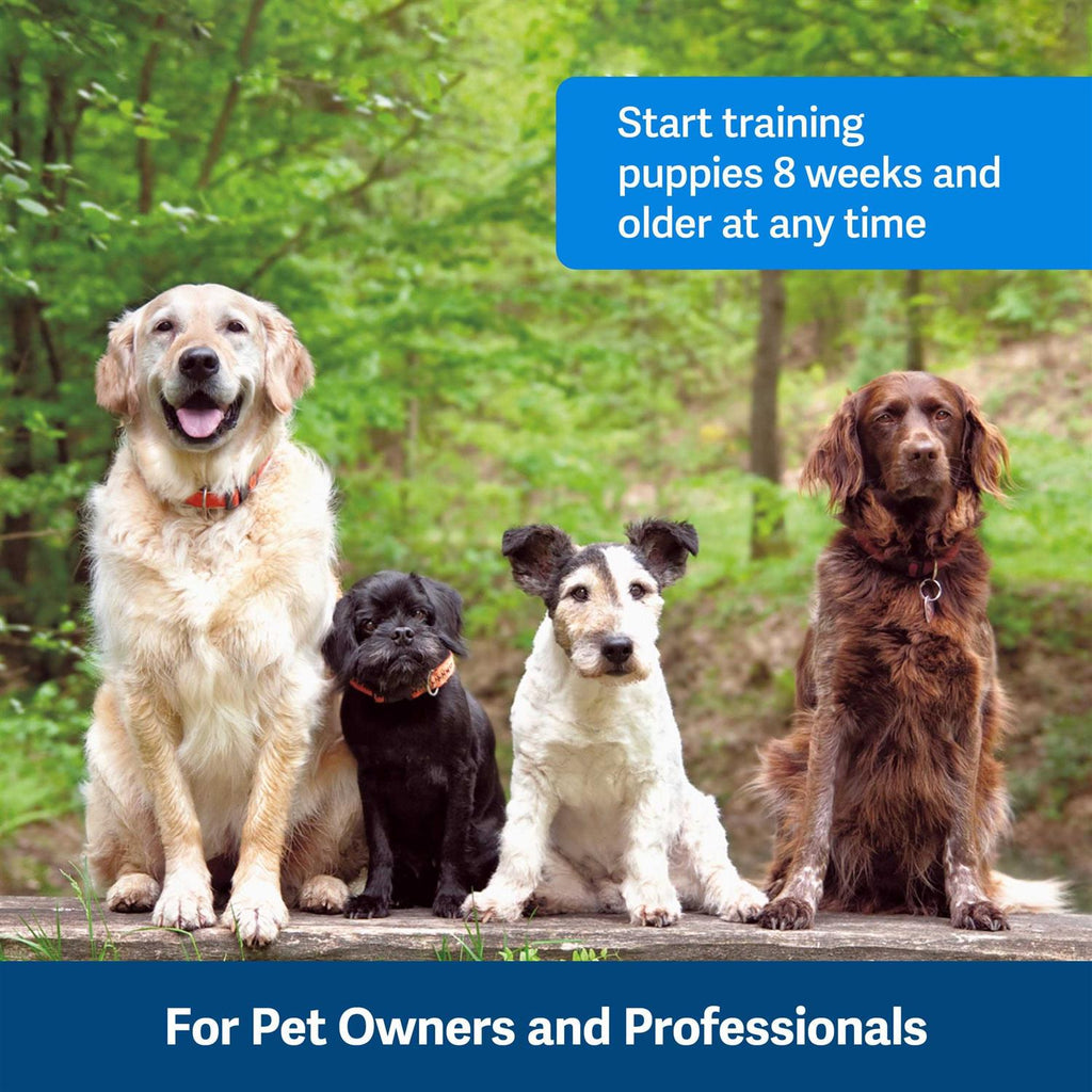 Dog Training Clicker D339114