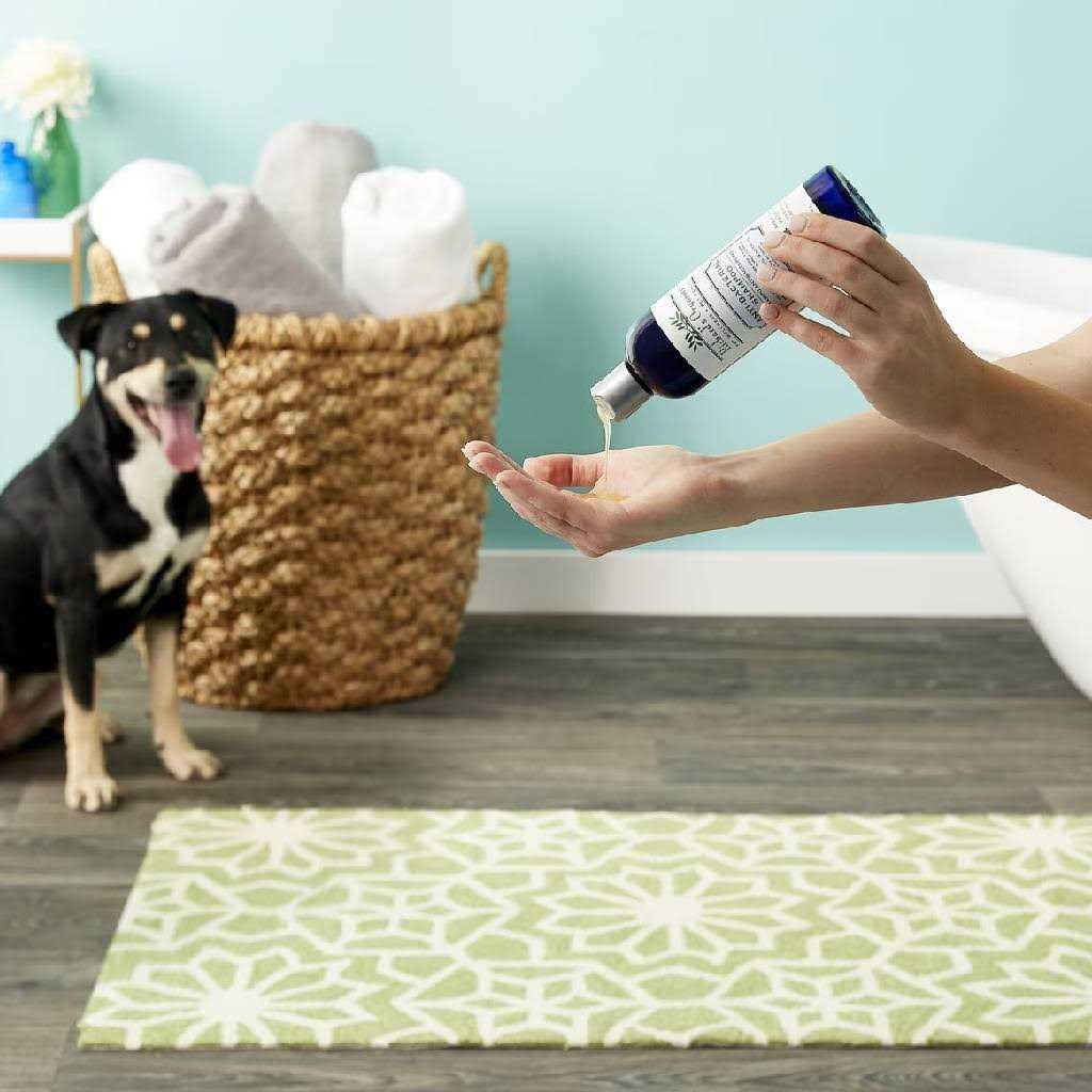 Anti-Bacterial Shampoo X64010