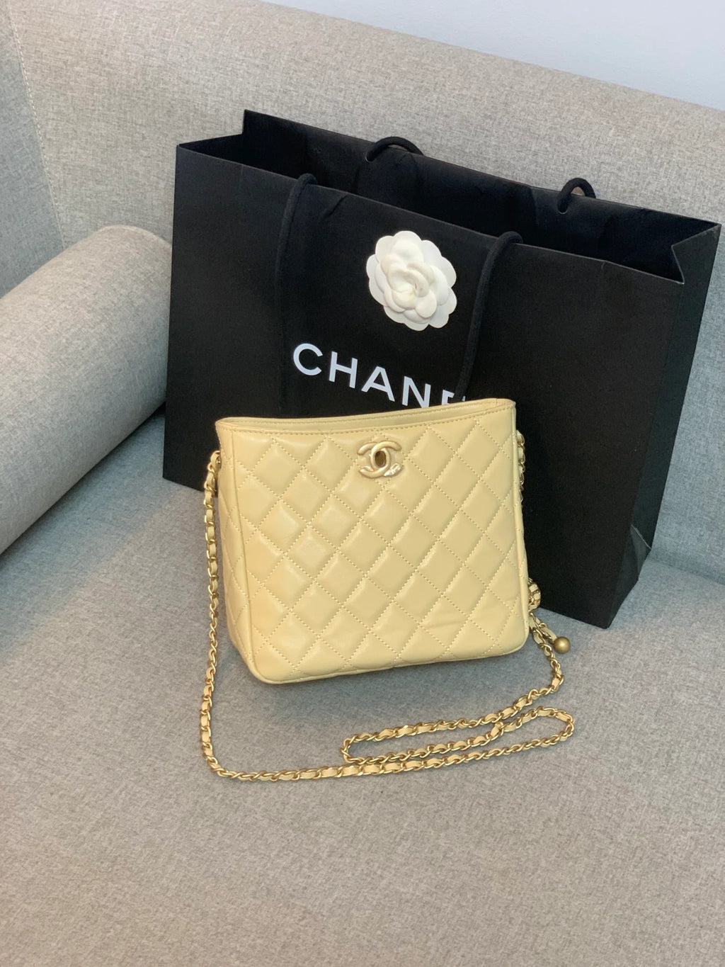 Beige Hobo Handbag P591
