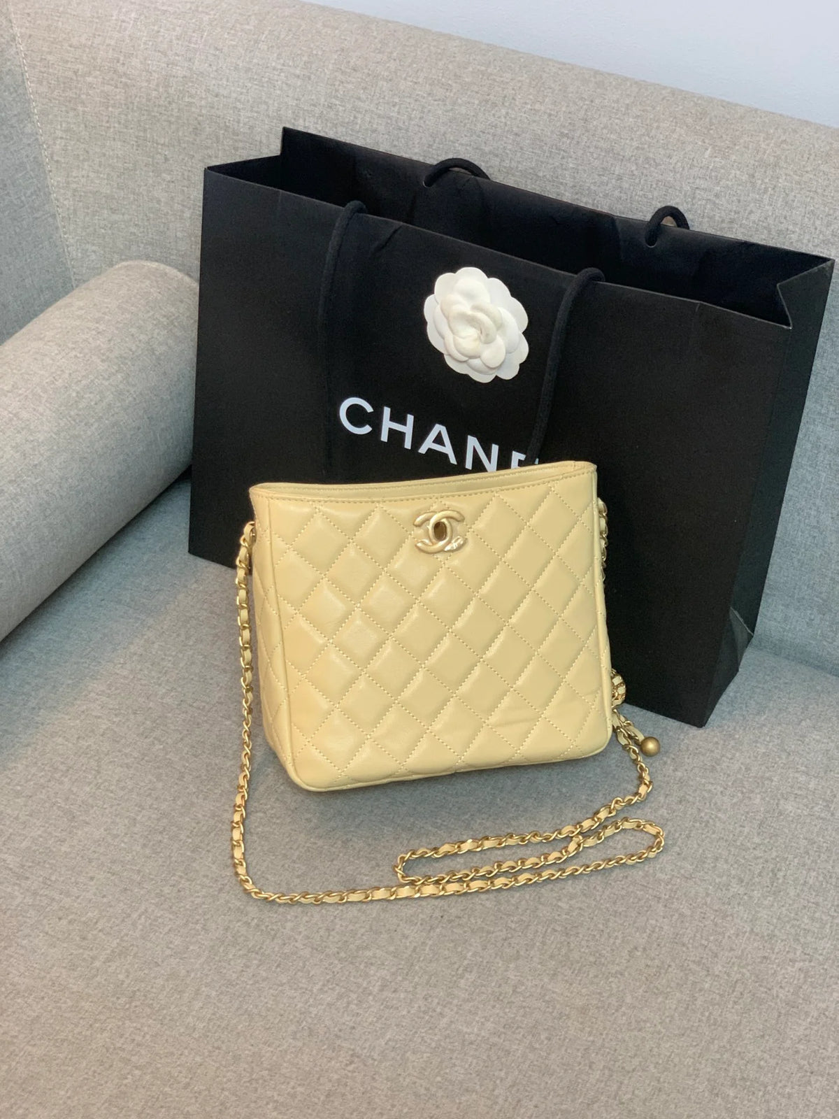 Beige Hobo Handbag P591