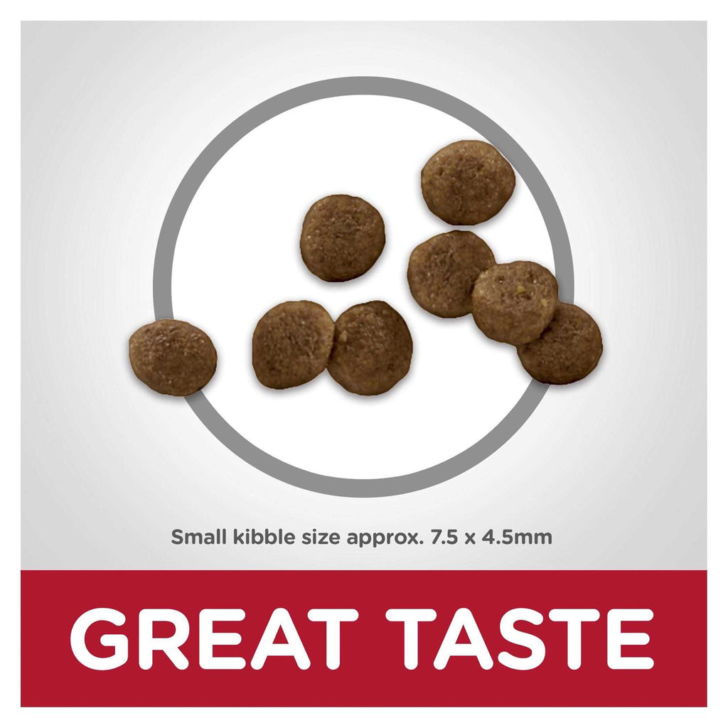 Dry Dog Food P4219