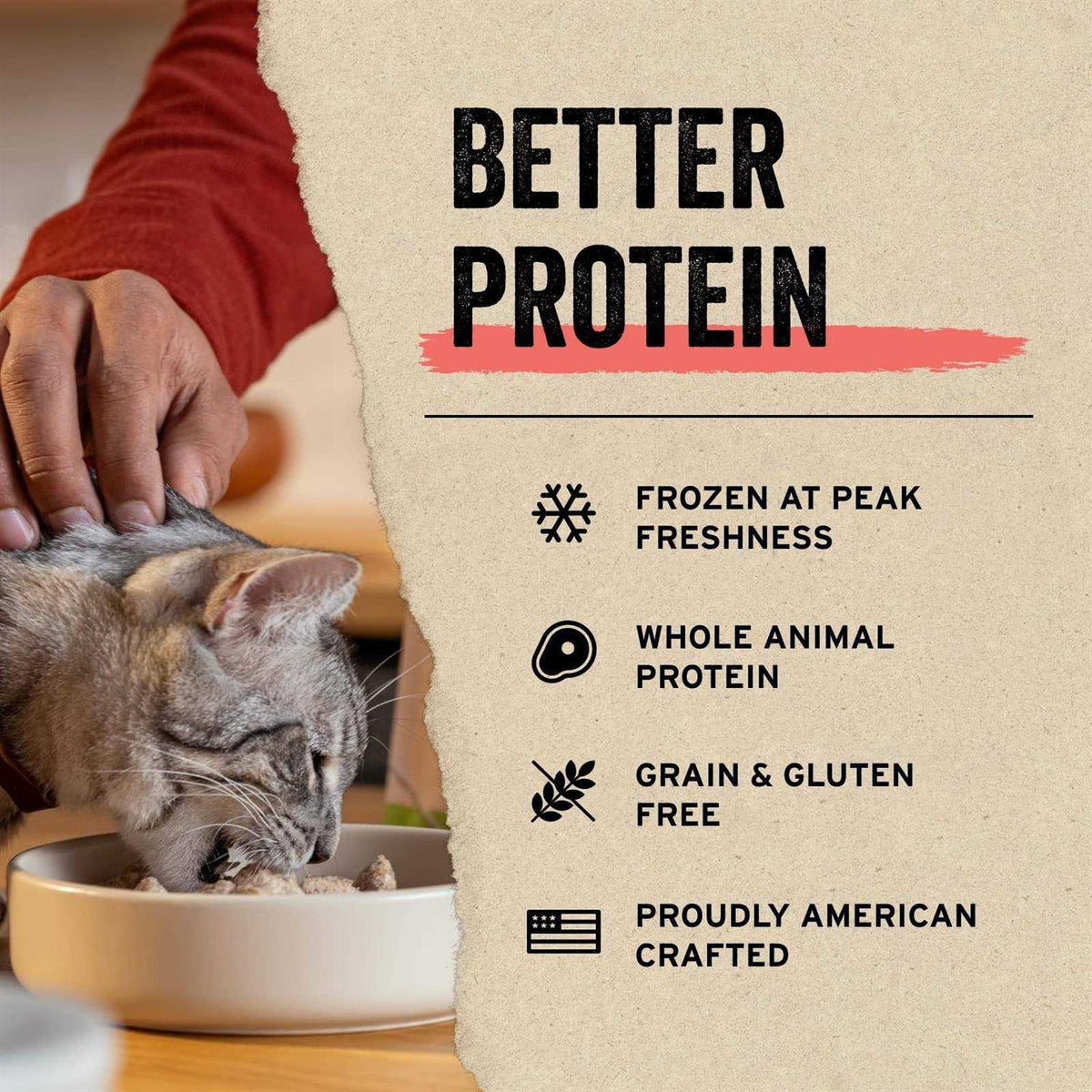 Freeze Dried Raw Rabbit Entree Cat Food Mini Patties S721