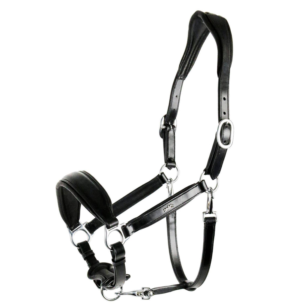 Anatomical Leather Halter D6414