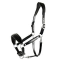 Anatomical Leather Halter D6414