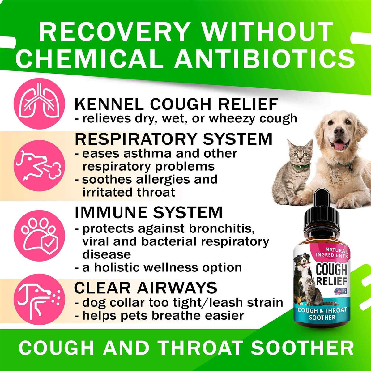 Kennel Cough Drops for Dogs and Cats 2oz Herbal Remedy Y536548