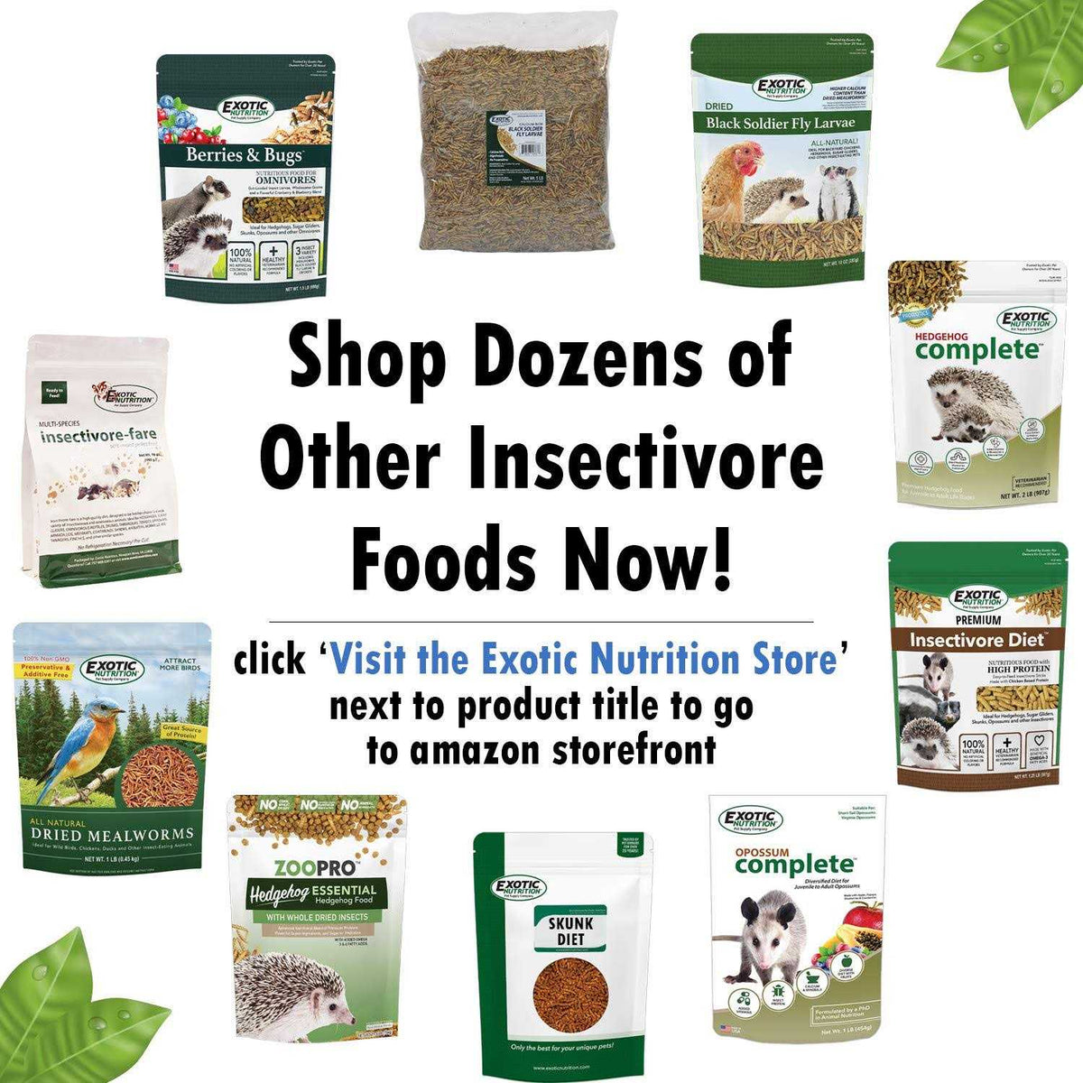 Insectivore Diet W2032