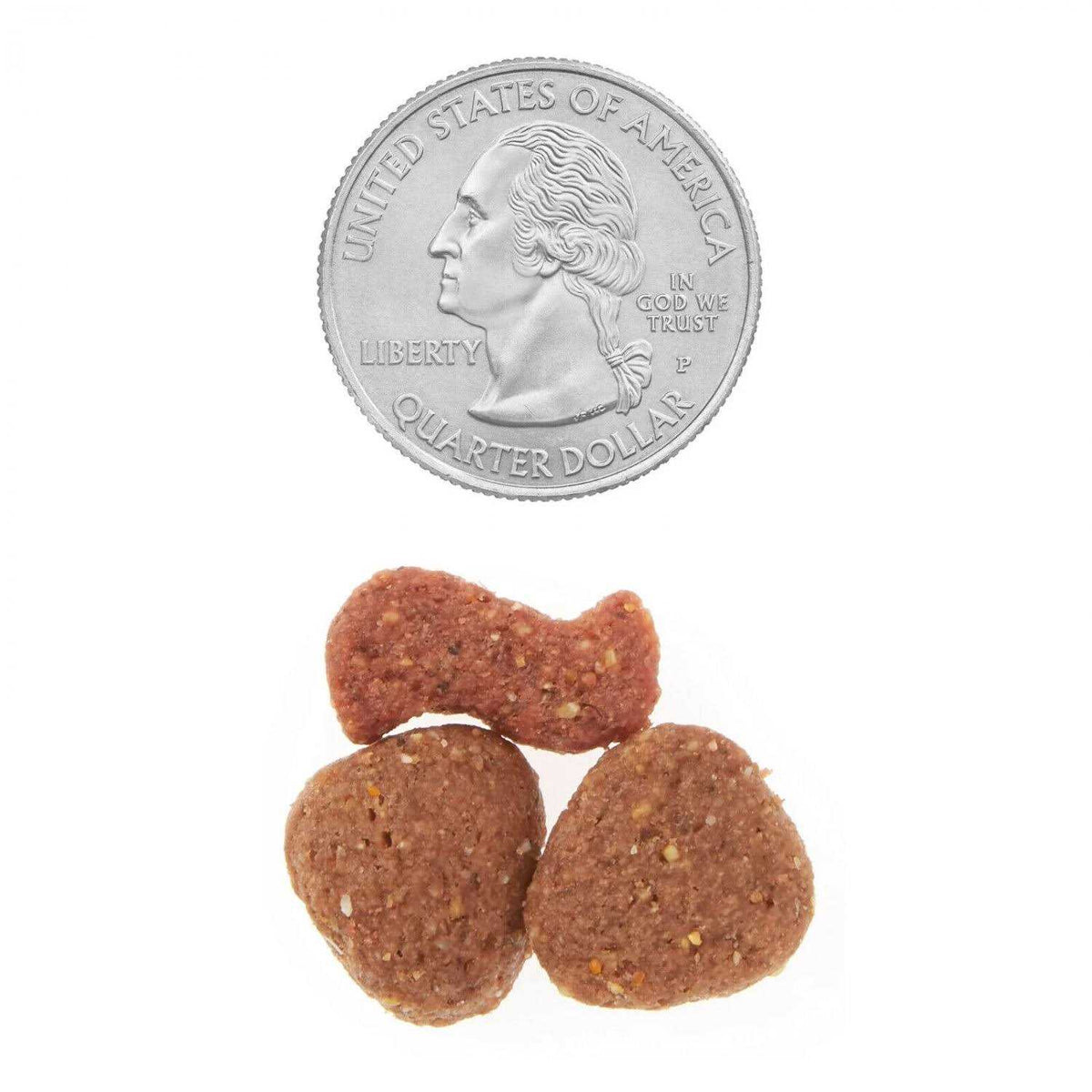 Dry Dog Food H196317